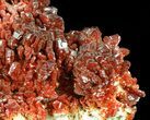Huge Plate Of Ruby Red Vanadinite Crystals - Wide #59958-4